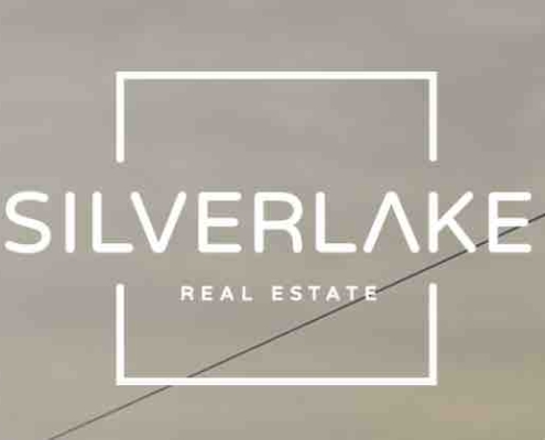 Silverlake-icon