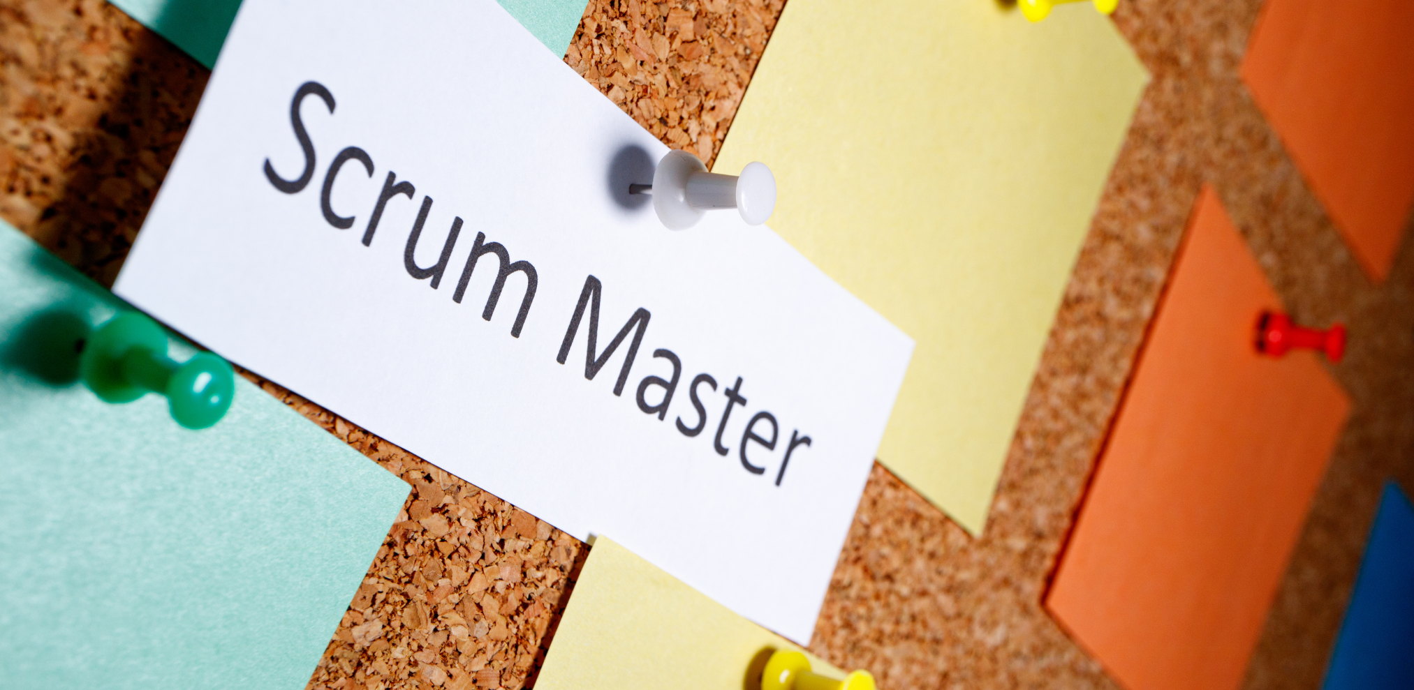 Scrum Master Sign