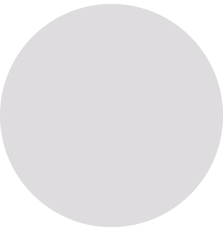 Bojana Softwareentwickler